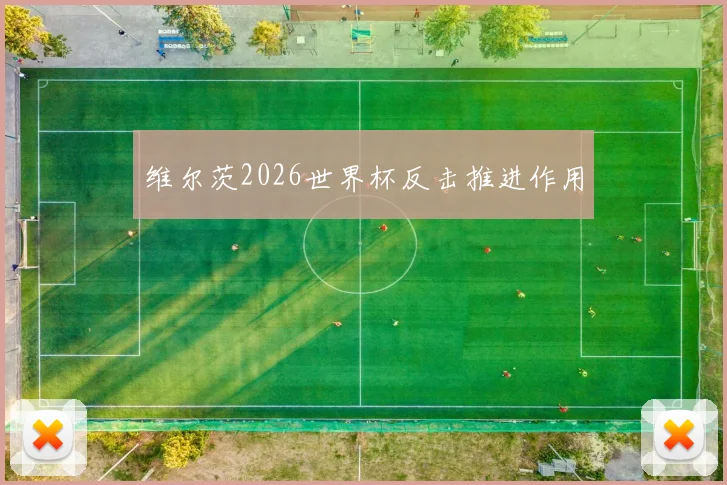维尔茨2026世界杯反击推进作用