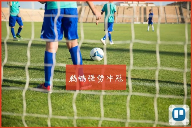鹈鹕强势冲冠