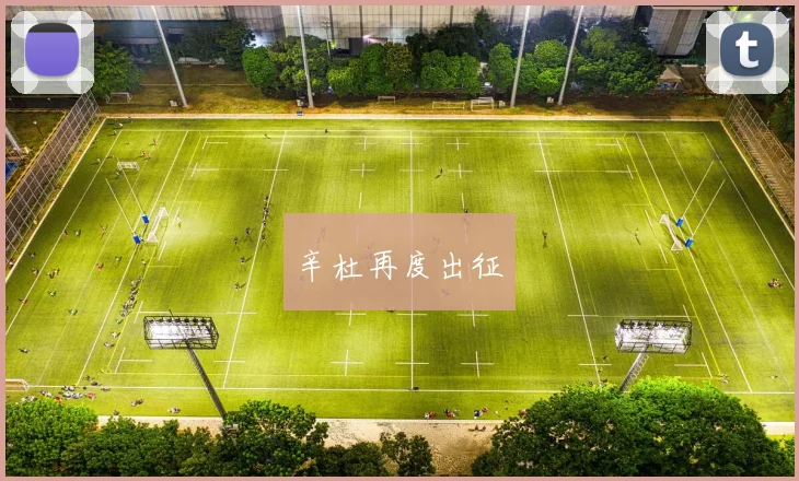 辛杜再度出征