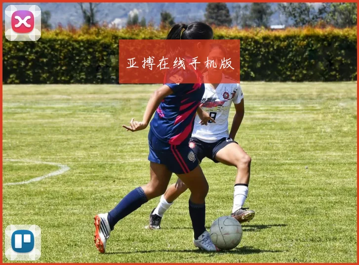 亚搏在线手机版