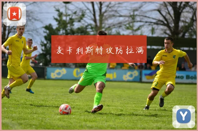 麦卡利斯特攻防拉满