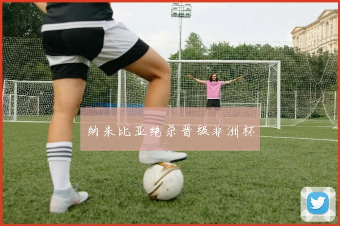 纳米比亚绝杀晋级非洲杯