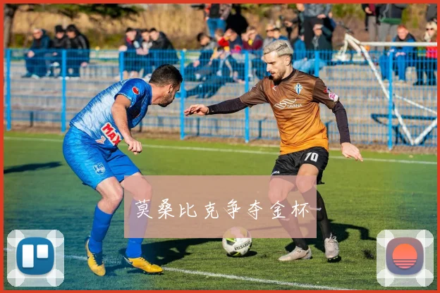 莫桑比克争夺金杯