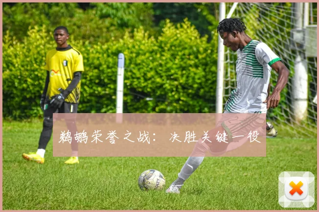 鹈鹕荣誉之战：决胜关键一役