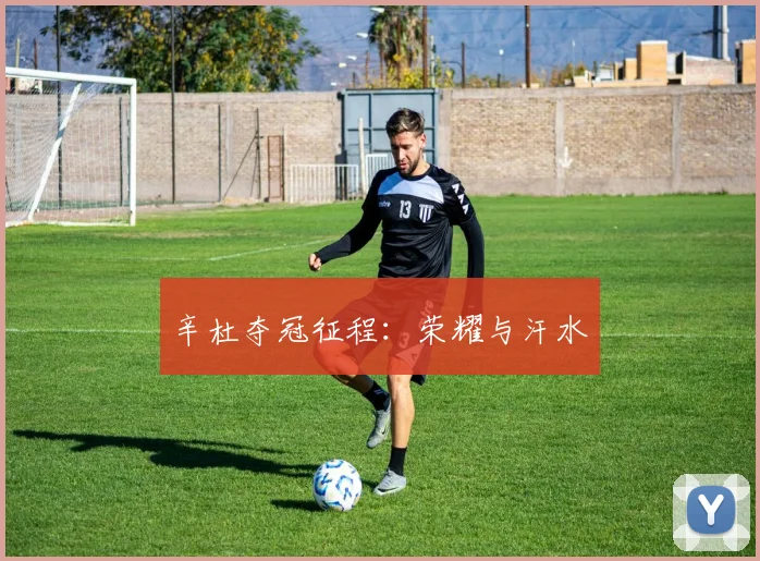 辛杜夺冠征程：荣耀与汗水
