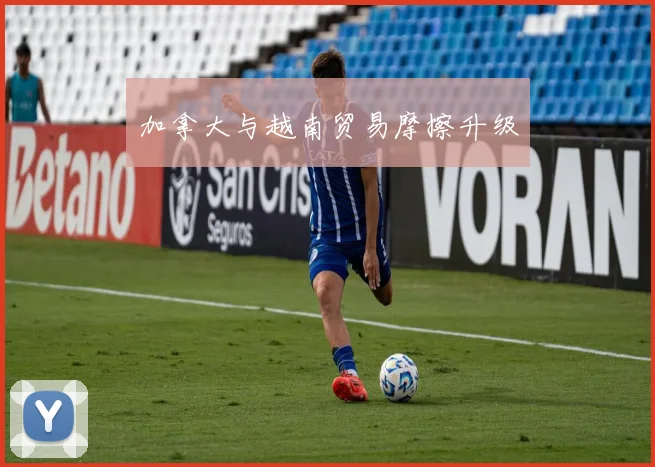 加拿大与越南贸易摩擦升级