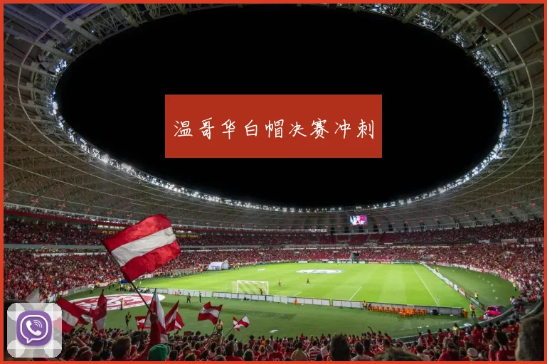 温哥华白帽决赛冲刺