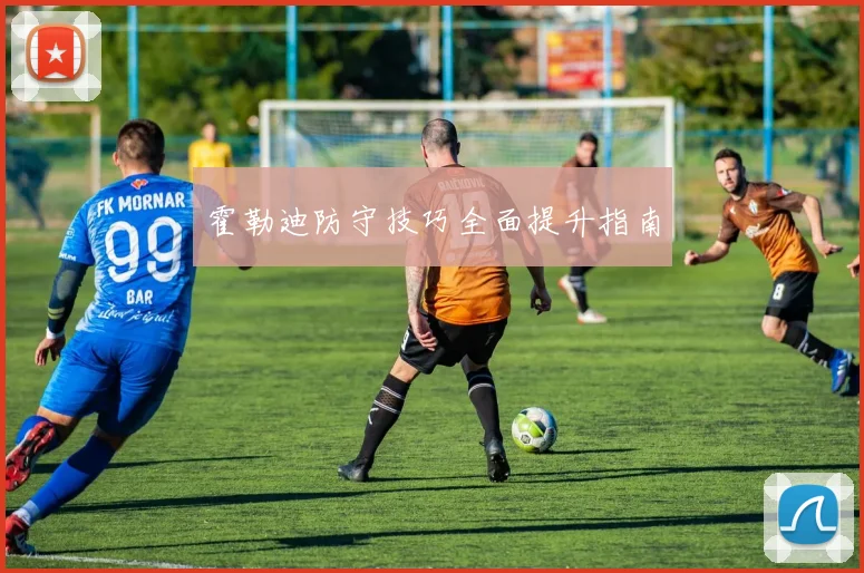 霍勒迪防守技巧全面提升指南