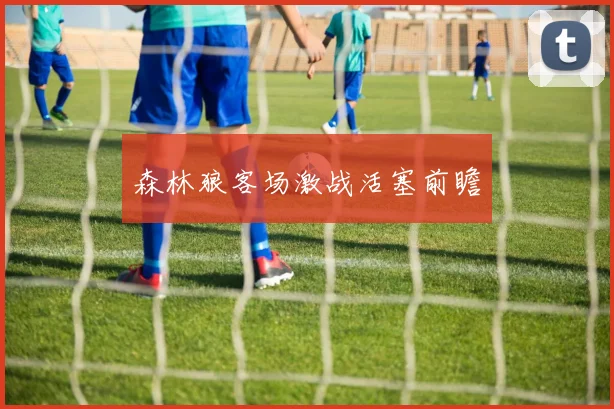 森林狼客场激战活塞前瞻