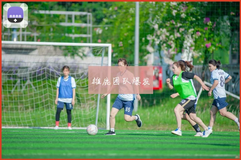 雄鹿团队爆发