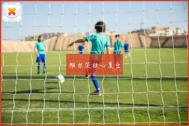 维尔茨核心复出