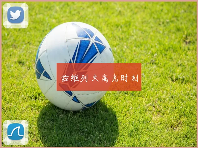 兹维列夫高光时刻