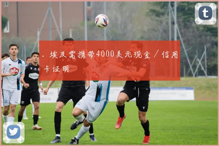 . 埃及需携带4000美元现金／信用卡证明