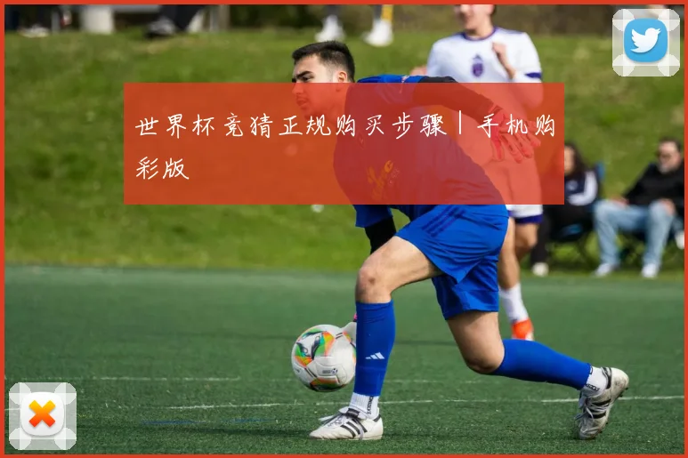 世界杯竞猜正规购买步骤｜手机购彩版