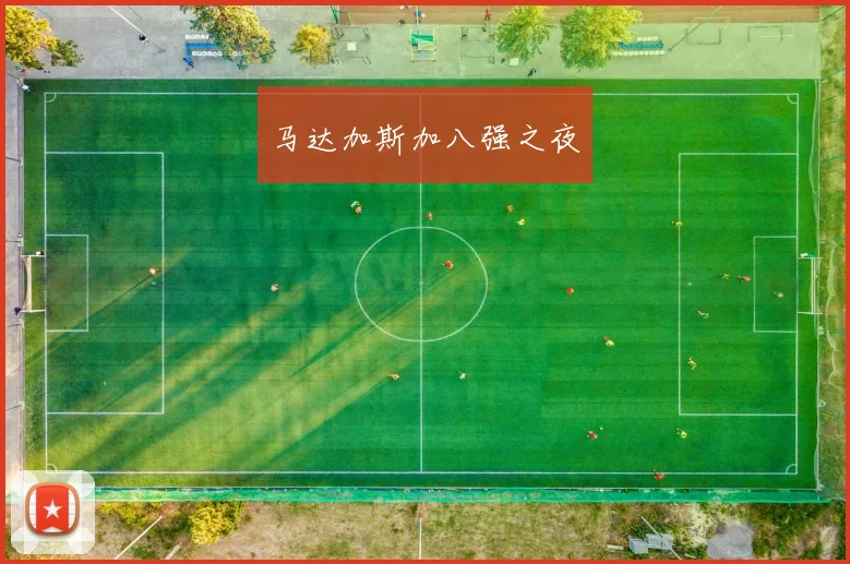 马达加斯加八强之夜