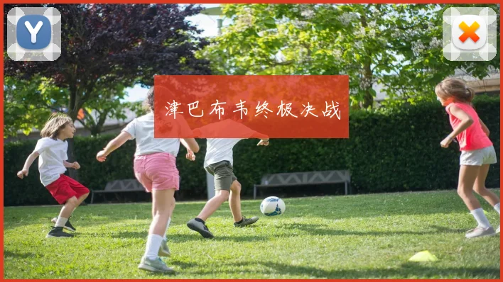 津巴布韦终极决战