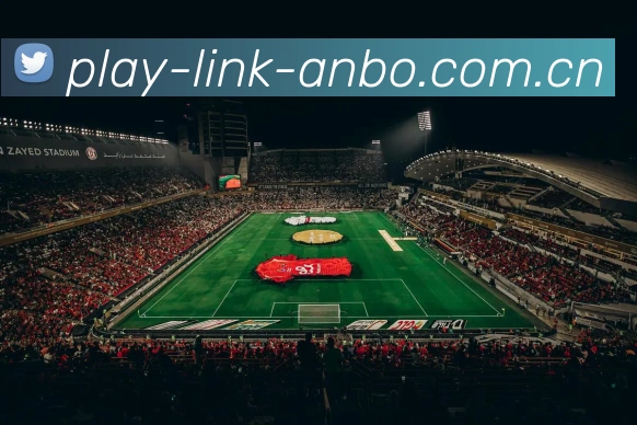 ANBO体育平台展示图