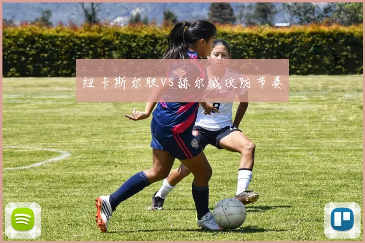 纽卡斯尔联vs赫尔城攻防节奏