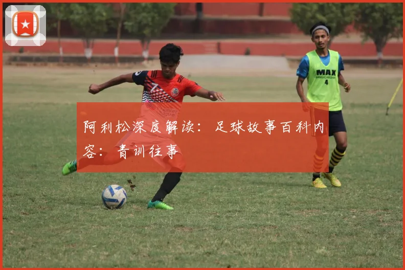阿利松深度解读:足球故事百科内容:青训往事